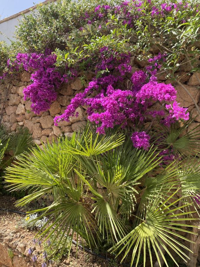 Villa Terraced House In The Mountains With Fantastic View Málaga Exterior foto